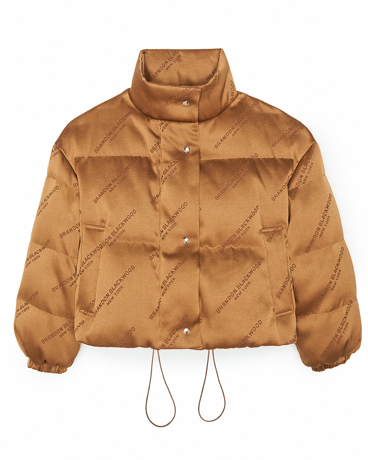 Louis Vuitton Micro Monogram Embossed Leather Down Jacket