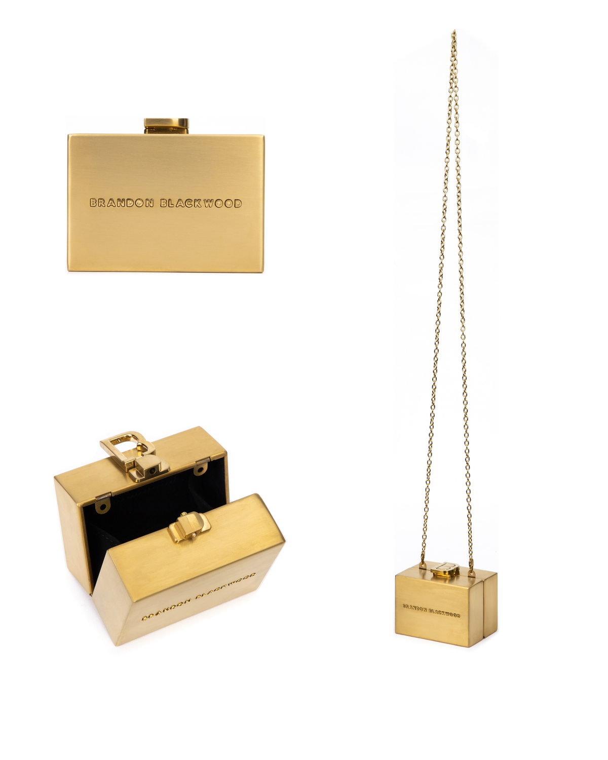 Taylor Polidor Williams Carries the Mini Metal Minaudière