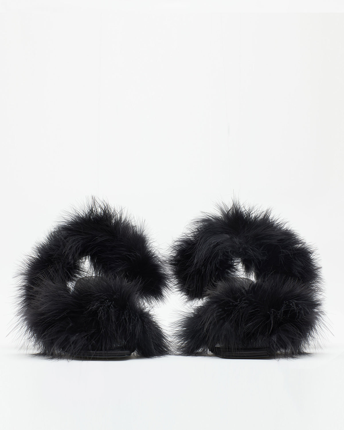 Tina Heel