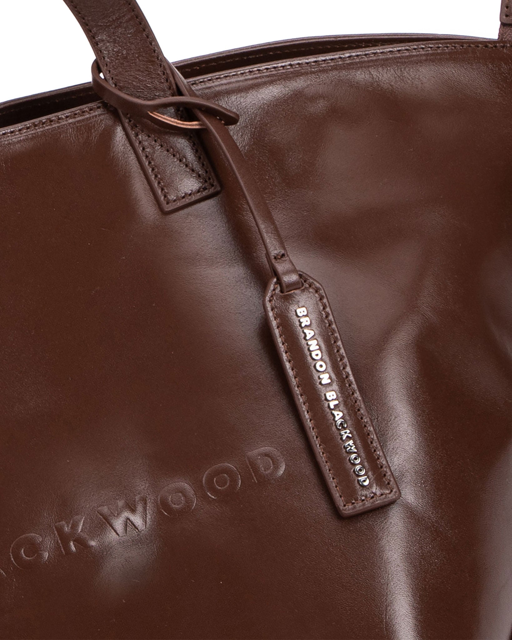 Shopping E W Leather Tote Bag in Brown - Saint Laurent